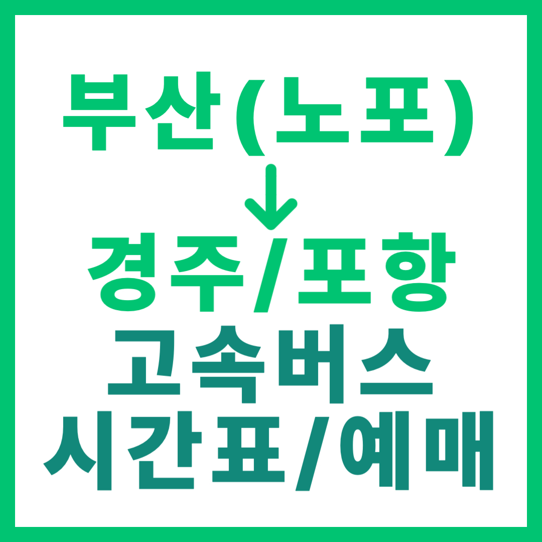 부산(노포) → 경주/포항 시외버스 시간표 및 요금 (최신) 썸네일