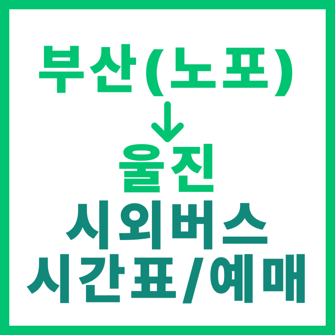 부산 노포동에서 울진 가는 시외버스 시간표, 요금, 예매 및 운행 상세 안내 2026