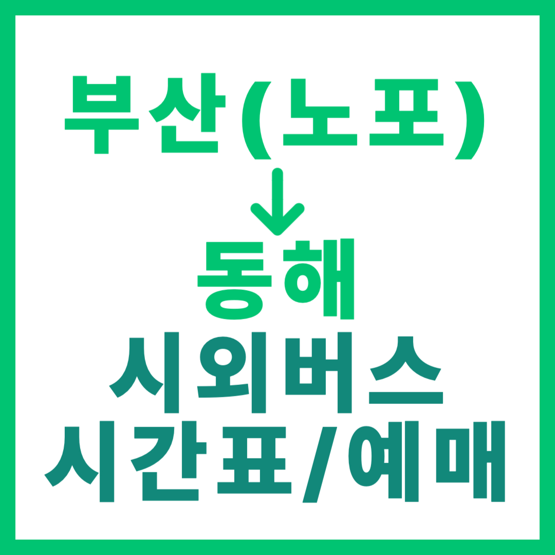 동부산 노포동에서 동해 가는 시외버스 시간표, 요금, 예약 및 노선 정보 첫차 막차 심야 썸네일