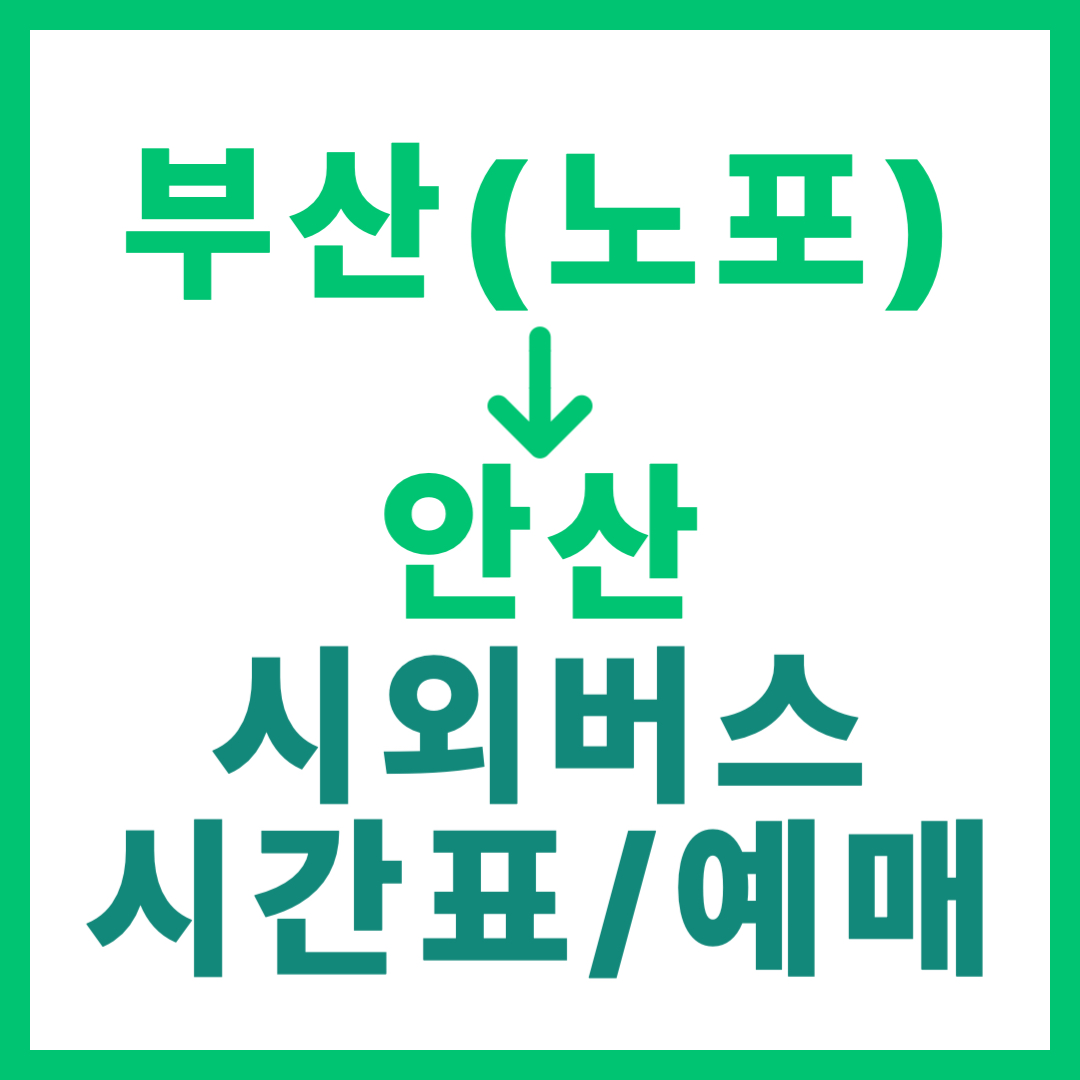 동부산(노포) → 안산 시외버스 시간표, 요금, 예매 방법 총정리, 첫차 막차 썸네일