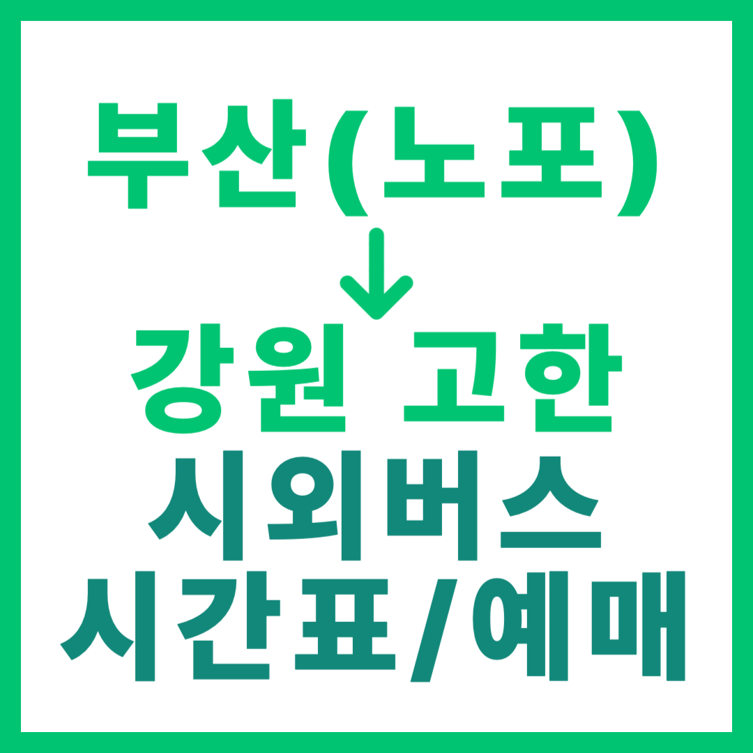 부산 노포동에서 고한사북 가는 시외버스 시간표, 요금, 예약 및 운행 상세 안내 썸네일