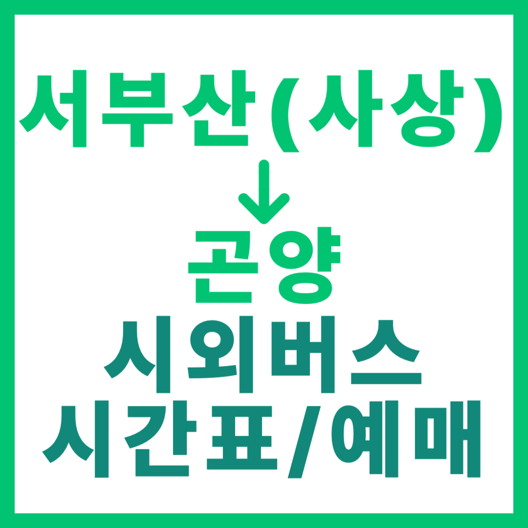 서부산(사상) 출발 곡양행 시외버스 요금, 시간표, 예매 방법 및 운행 상세 안내 부산 서부