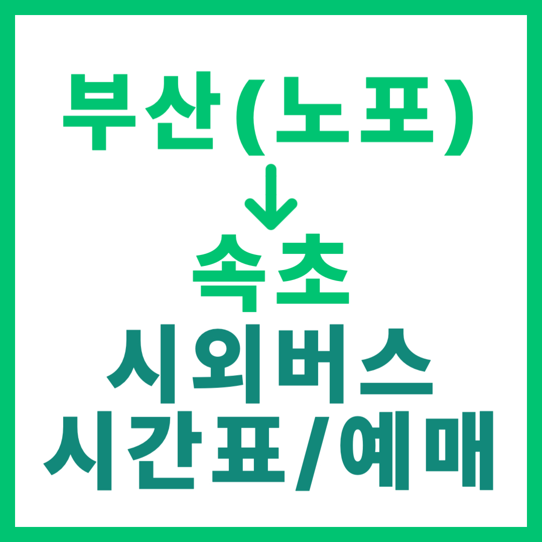 부산 노포동에서 속초 가는 시외버스 시간표, 요금, 심야버스, 예매 정보 총정리 썸네일