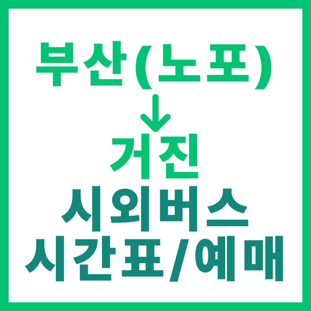 부산 노포동에서 거진 가는 시외버스 시간표, 요금, 예약 및 운행 정보 상세 안내 썸네일
