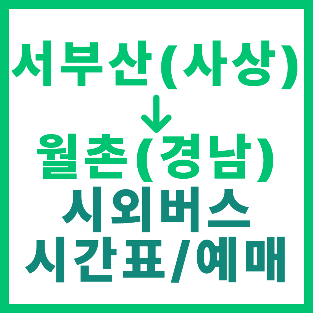 부산서부에서 경남 월촌 가는 시외버스 시간표, 요금, 예매 총정리 (일반/우등, 서부산 사상)