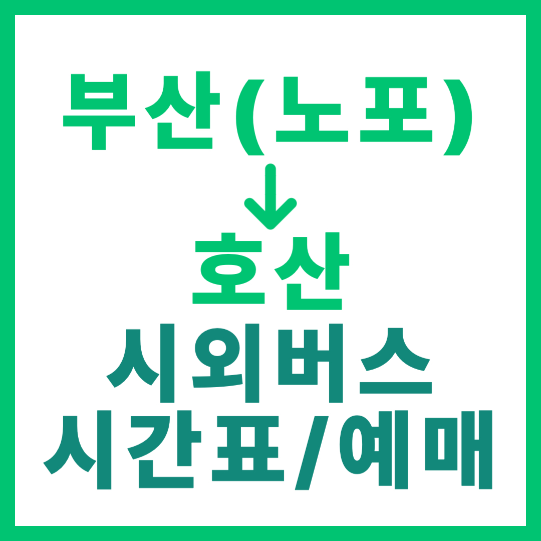 부산 노포동에서 호산 가는 시외버스 예매, 요금, 시간표 확인 및 운행 상세 정보