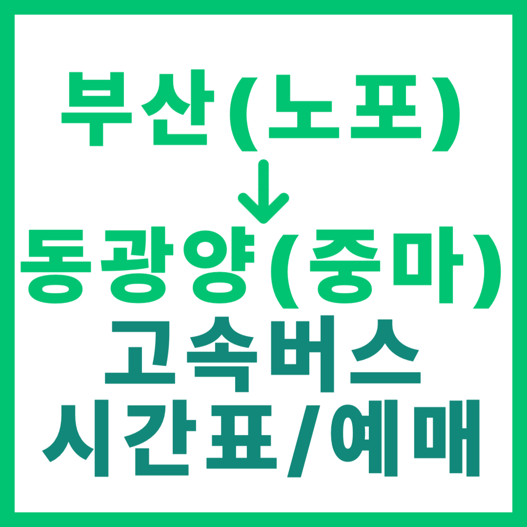 부산 노포동에서 동광양 중마 가는 고속버스 시간표, 요금, 예매 총정리 (2026년 최신) 썸네일