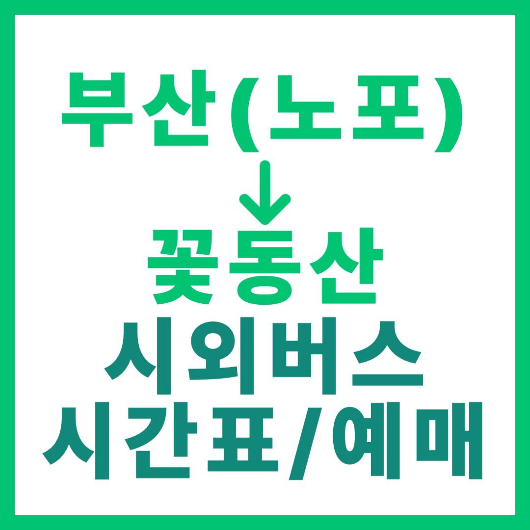 부산 노포동에서 꽃동산 가는 시외버스 요금, 시간표, 예매하는 방법