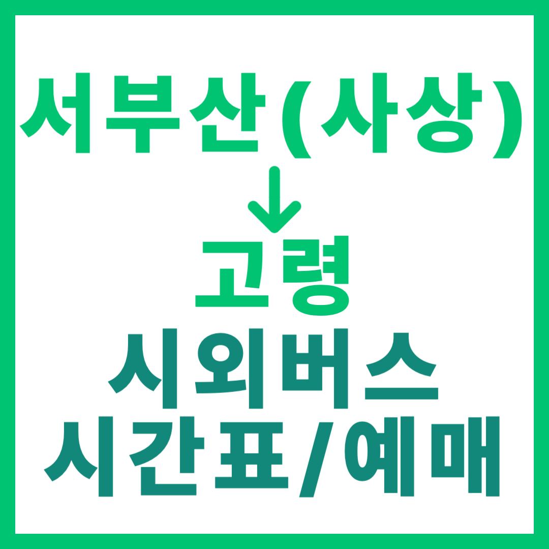 서부산(사상) 출발 고령행 시외버스 예약 방법, 시간표, 요금 및 운행 상세 안내
