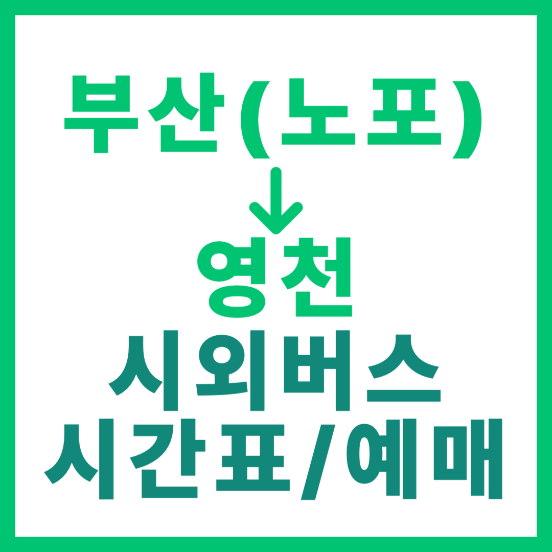 부산 노포동에서 영천 가는 시외버스 시간표, 요금, 예약/예매하는 방법 2026