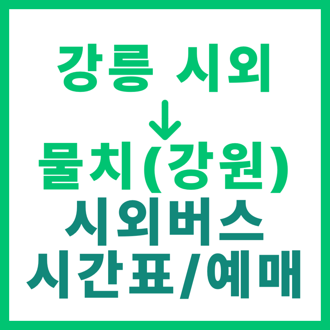 강릉시외터미널에서 강원 물치 가는 시외버스 시간표, 요금, 예약 정보 안내