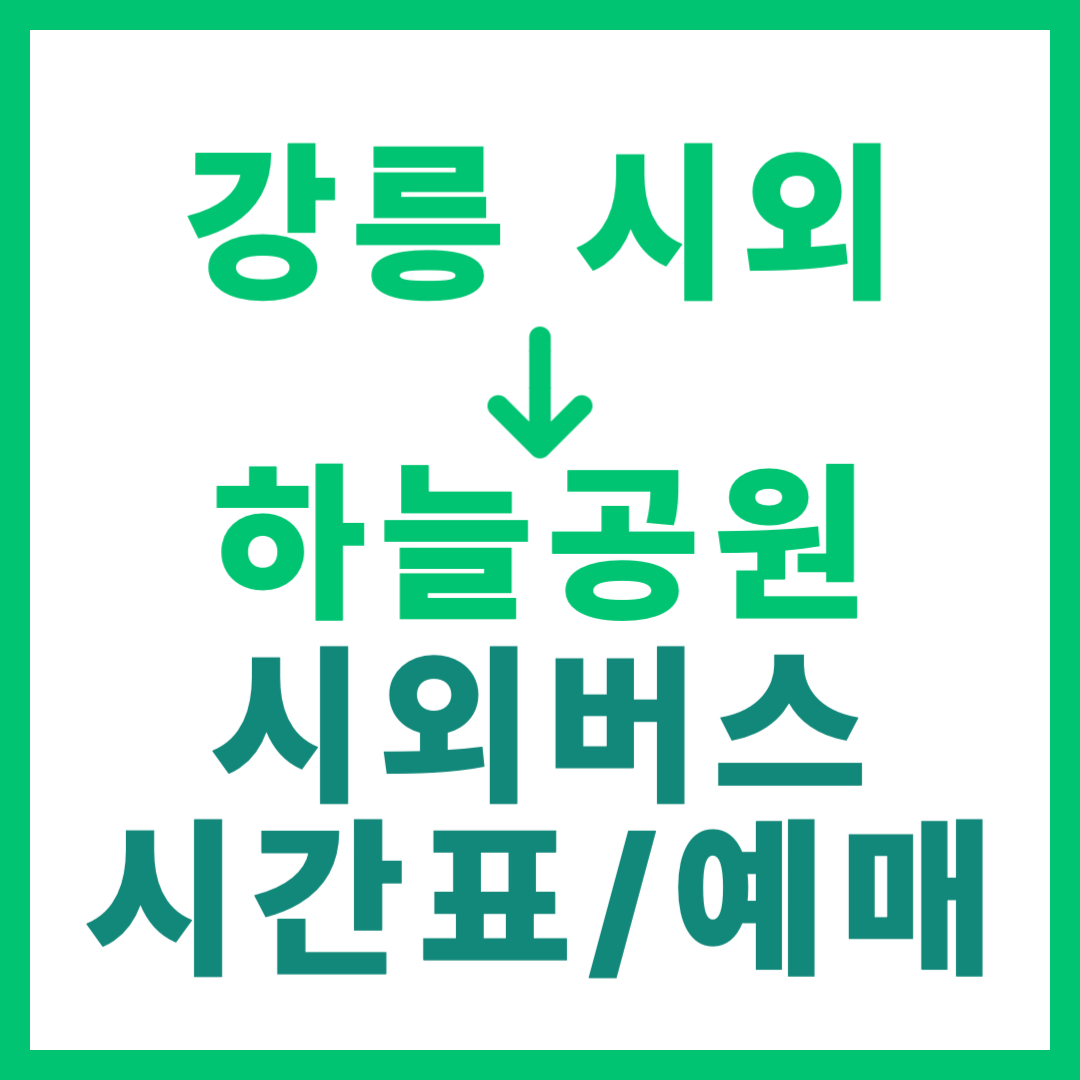 강릉시외터미널에서 강원 하늘공원 가는 시외버스 시간표, 요금, 예매 정보 안내 (일반 등급)