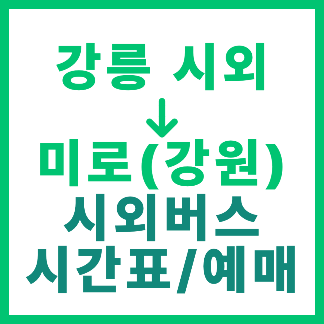 강릉시외터미널에서 강원 미로 가는 시외버스 시간표, 요금, 예매 정보
