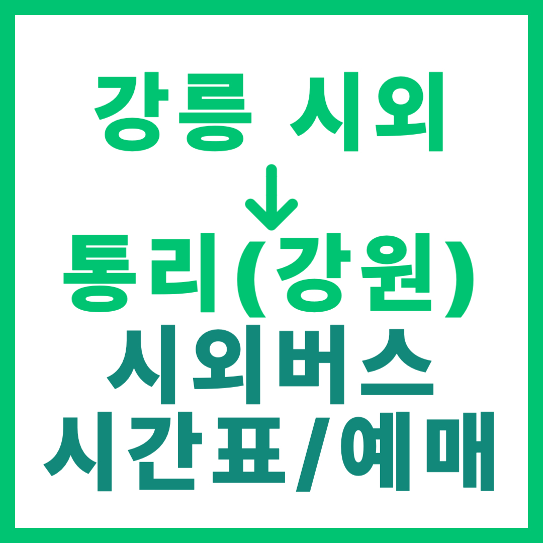 강릉시외터미널에서 강원 통리 가는 시외버스 시간표, 요금, 예매 정보 안내