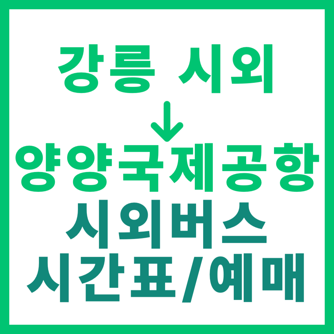 강릉시외터미널에서 양양국제공항 가는 시외버스 시간표, 요금, 예약 정보 안내
