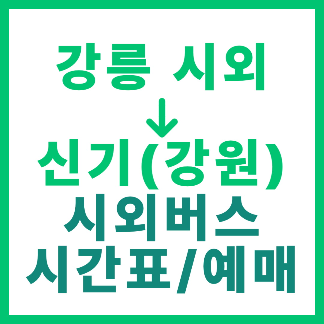 강릉시외터미널에서 강원 신기 가는 시외버스 시간표, 요금, 예매 정보 안내 (일반 등급)