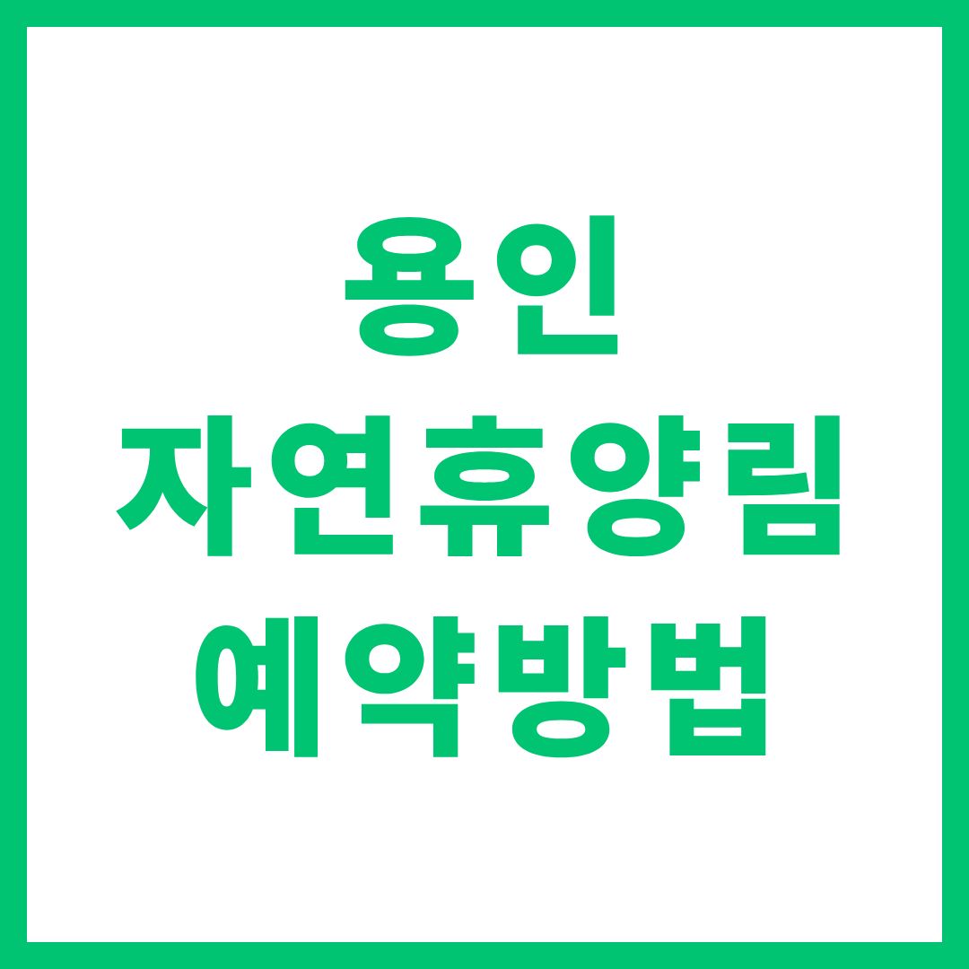용인 자연휴양림 예약 일정 시간 시기