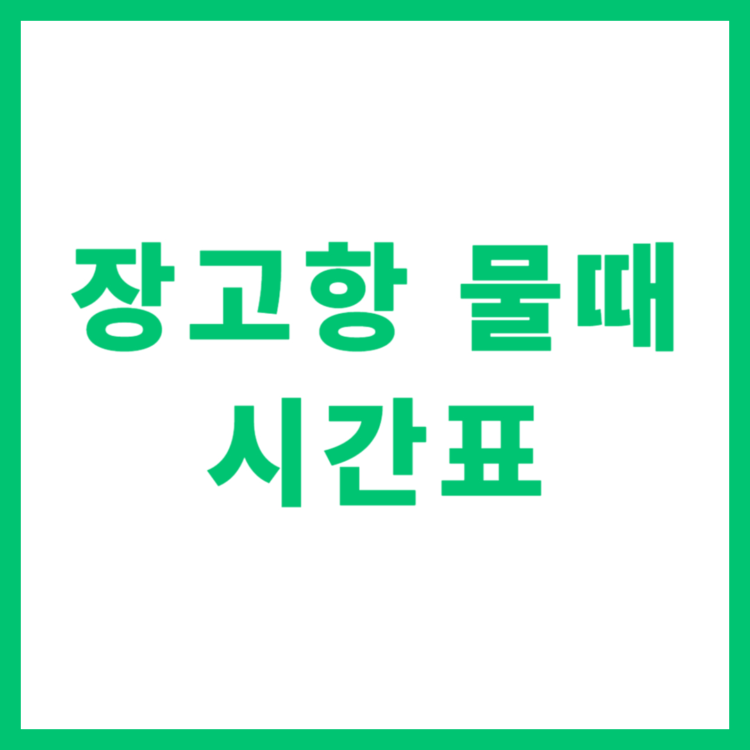 장고항 물때 시간표 오늘 보기 보는 법
