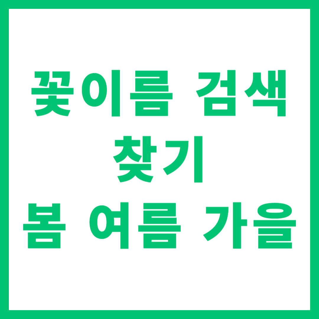 꽃이름 검색 찾기 봄 여름 가을
