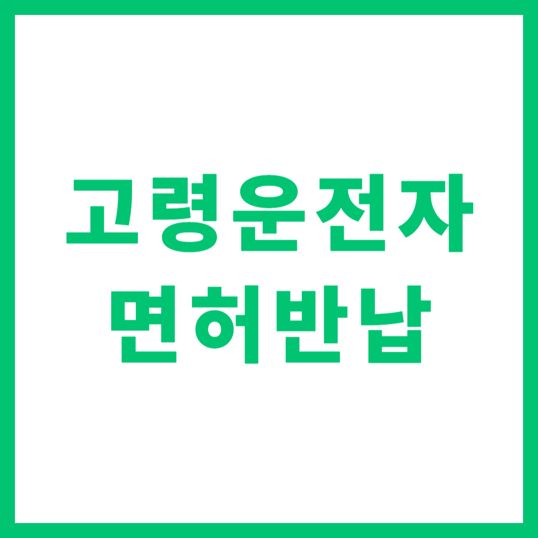고령운전자 면허반납 신청 혜택 나이