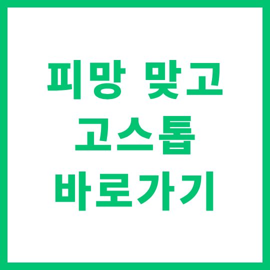 피망 맞고 고스톱 바로가기 및 다운로드 설치 방법